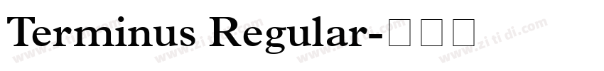 Terminus Regular字体转换